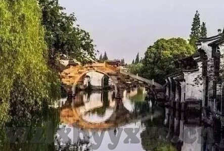 麻豆精选2021视频-感受麻豆精选2021，丰富多彩的视觉盛宴与文化艺术的融合